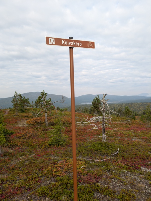 Pallas-Yllästunturin kansallispuisto day 7 · Pallas-Yllästunturin kansallispuisto – fotka 2